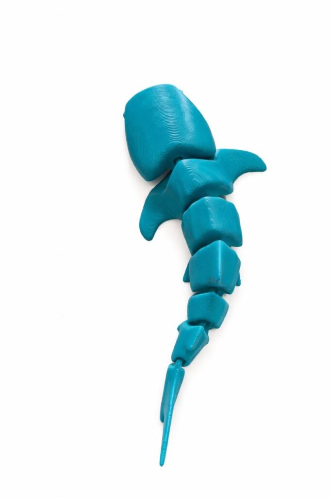 Articulated Movable Whale Shark